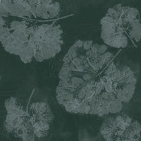 Foglia Sage – Tapeta Łuk Standard