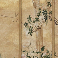 Phoenix – Standard Bow Wallpaper