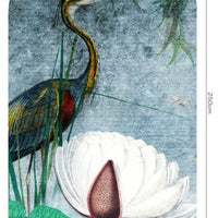 Water Lily – Tapeta Łuk Standard