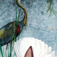 Water Lily – Standard Bow Wallpaper