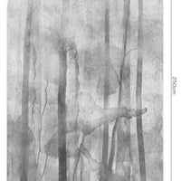 Mori Grey – Tapeta Łuk Standard