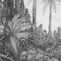 Ness – Tapeta Łuk Standard