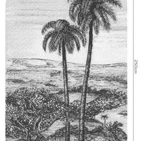 Palm – Standard Arc Wallpaper