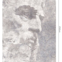 Platon – Standard Bow Wallpaper