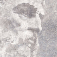 Platon – Standard Bow Wallpaper