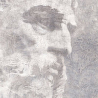 Platon – Standard Bow Wallpaper