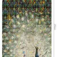 Peacock – Standard Bow Wallpaper