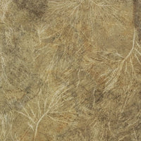 Orion – Standard Arc Wallpaper