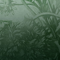 Green Ombre Flower – Standard Arc Wallpaper