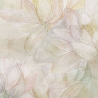 Spring – Standard Bow Wallpaper
