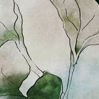 Hasu – Standard Bow Wallpaper