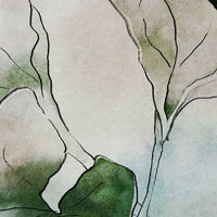 Hasu – Tapeta Łuk Standard