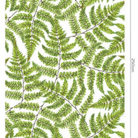 Jurrasic – Standard Bow Wallpaper