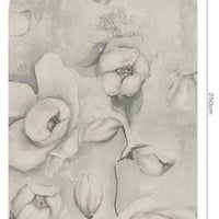 Kotone Olive – Tapeta Łuk Standard