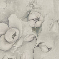 Kotone Olive – Tapeta Łuk Standard