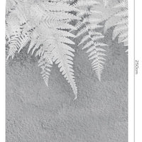 Lacerta – Standard Bow Wallpaper