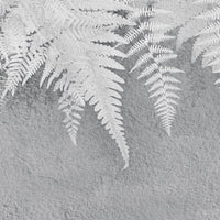 Lacerta – Standard Bow Wallpaper