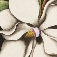 Laurel – Standard Bow Wallpaper
