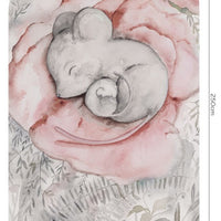 Little Nap Light – Standard Arc Wallpaper