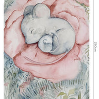 Little Nap – Standard Bow Wallpaper