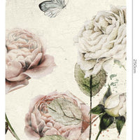 Roses Dream White – Standard Arc Wallpaper