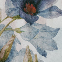 Antlia – Standard Arch Wallpaper