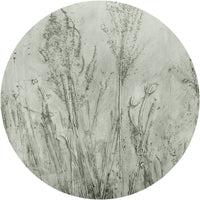 Pampa Sage – Circle Standard Wallpaper