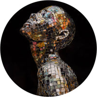 Disco – Standard Circle Wallpaper