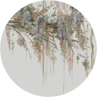 Acacia – Circle Standard Wallpaper