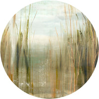 Canna – Standard Circle Wallpaper