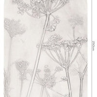 Erbario Light – Standard Arc Wallpaper