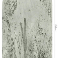 Pampa Sage – Standard Bow Wallpaper