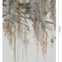 Acacia – Standard Bow Wallpaper