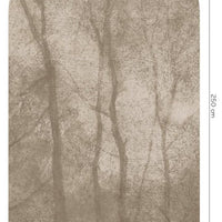 Foggy Beige – Tapeta Łuk Standard