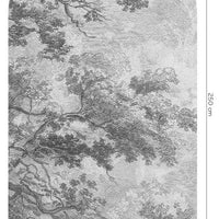 Sanctuary Grey – Tapeta Łuk Standard