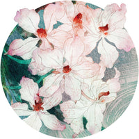 Nami – Standard Circle Wallpaper