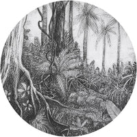 Ness – Tapeta Koło Standard