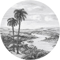 Palm – Circle Standard Wallpaper