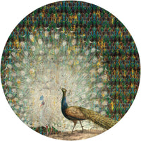 Peacock – Circle Standard Wallpaper
