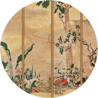 Phoenix – Tapeta Koło Standard