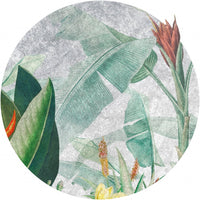 Rainforest Vivid – Koło Standard Wallpaper