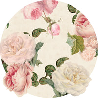 Roses Cream – Koło Standard Wallpaper