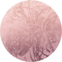 Blossom Ombre Flower – Tapeta Koło Standard