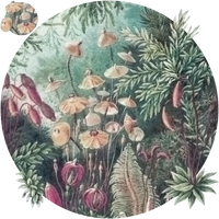 pattern_file
