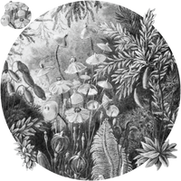 pattern_file