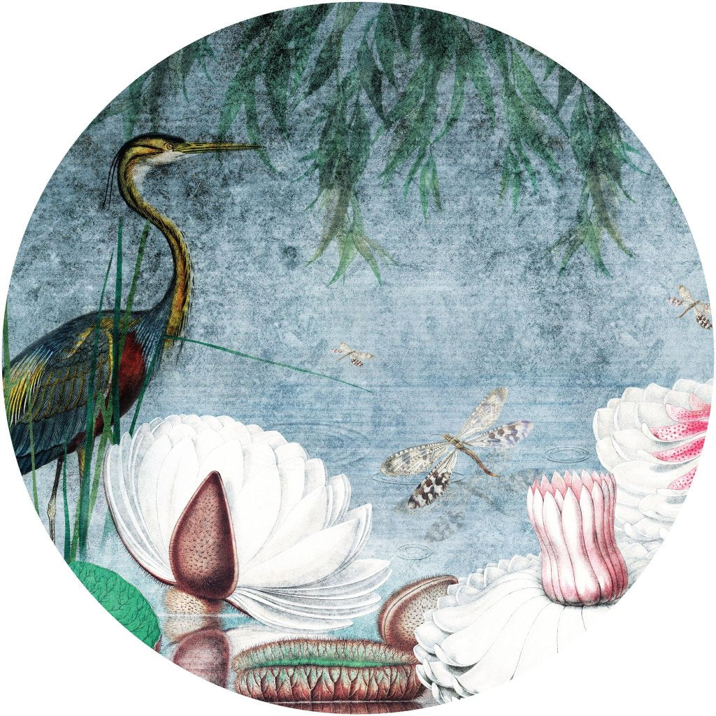 Water Lily – Tapeta Koło Standard