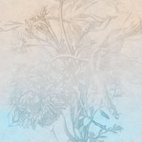 pattern_file