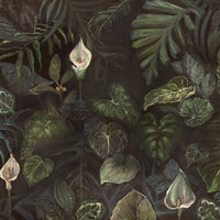 Calla – Tapeta na wymiar