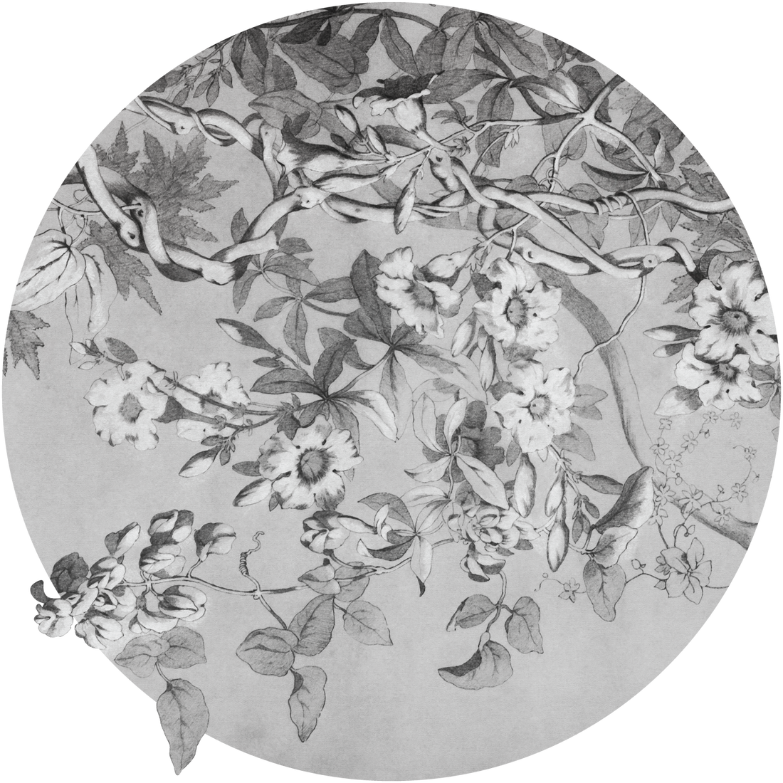 pattern_file