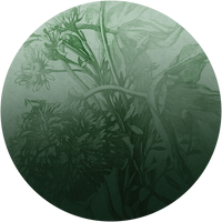 pattern_file